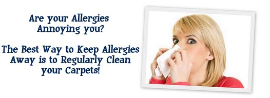 Carpet Cleaning Vallejo