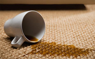 Carpet Cleaning Vallejo