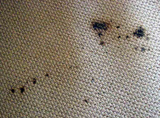 Spot & Stain Removal Vallejo