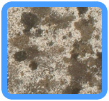 Vallejo Water Damage Restoration